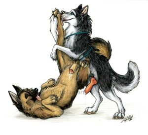 Rating: Explicit Score: 0 Tags: 2006 canine canine_penis feral gay german_shepherd husky knot licking male male_only paws penis rule34 tail tani_da_real tongue User: bunchy7s Rating: Explicit Score: 0 Tags: 2006 canine canine_penis feral gay german_shepherd husky knot licking male male_only paws penis rule34 tail tani_da_real tongue User: bunchy7s
