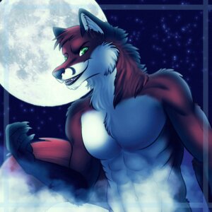 Rating: Safe Score: 0 Tags: 1:1 5_fingers abs anthro biped black_body black_fur canid canine chest_tuft claws e621 fingers fox full_moon fur gloves_(marking) green_eyes hair half-length_portrait looking_at_viewer male mammal markings moon night nude open_mouth open_smile outside pecs portrait rafflone red_body red_fur red_hair sharp_teeth short_hair sky smile solo standing star starry_sky tail teeth tuft white_body white_fur User: bunchy7s Rating: Safe Score: 0 Tags: 1:1 5_fingers abs anthro biped black_body black_fur canid canine chest_tuft claws e621 fingers fox full_moon fur gloves_(marking) green_eyes hair half-length_portrait looking_at_viewer male mammal markings moon night nude open_mouth open_smile outside pecs portrait rafflone red_body red_fur red_hair sharp_teeth short_hair sky smile solo standing star starry_sky tail teeth tuft white_body white_fur User: bunchy7s