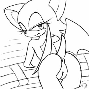 Rating: Explicit Score: 0 Tags: anthro bat female rouge_the_bat rule34 sonic_(series) tagme User: bunchy7s