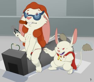 Rating: Questionable Score: 0 Tags: anthro clothing clothing_pull cricetid disney dr._jacques_von_hamsterviel duo e621 female gerbil lilo_and_stitch male mammal mertle_edmonds murid panties panty_pull rodent suce tail underwear underwear_pull young young_anthro User: bunchy7s Rating: Questionable Score: 0 Tags: anthro clothing clothing_pull cricetid disney dr._jacques_von_hamsterviel duo e621 female gerbil lilo_and_stitch male mammal mertle_edmonds murid panties panty_pull rodent suce tail underwear underwear_pull young young_anthro User: bunchy7s