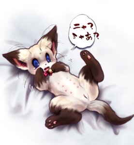 Rating: Explicit Score: 0 Tags: bell blue_eyes bodily_fluids breasts collar dialogue domestic_cat e621 felid feline felis female genitals japanese_text low_res lying mammal multi_nipple nipples on_back pawpads paws pose solo speech_bubble tail tears tetetor-oort text translation_request vulva whiskers User: bunchy7s Rating: Explicit Score: 0 Tags: bell blue_eyes bodily_fluids breasts collar dialogue domestic_cat e621 felid feline felis female genitals japanese_text low_res lying mammal multi_nipple nipples on_back pawpads paws pose solo speech_bubble tail tears tetetor-oort text translation_request vulva whiskers User: bunchy7s