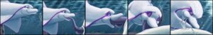 Rating: Explicit Score: 0 Tags: animal_genitalia animal_penis cetacean cum deepthroat dolphin fellarts fellatio feral male marine oral oral_sex penis rule34 sex tapering_penis underwater water_clouding User: bunchy7s