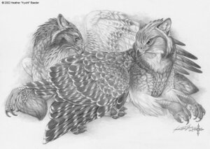 Rating: Safe Score: 0 Tags: 2002 4_toes allopreening ambiguous_gender anisodactyl avian avian_feet beak claws detailed duo e621 feather_preening feathered_wings feathers feet feral graphite_(artwork) greyscale gryphon kyoht_luterman monochrome mythological_avian mythological_creature mythology nude paws personal_grooming side_view simple_background social_grooming talons toes traditional_media_(artwork) white_background wings User: bunchy7s