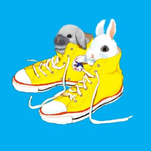 Rating: Safe Score: 0 Tags: 1:1 act ambiguous_gender blue_background chuck_taylor_all_stars clothing converse duo e621 english_text feral footwear lacing lagomorph leporid mammal rabbit shoes simple_background sneakers text text_on_clothing text_on_footwear text_on_shoes User: bunchy7s