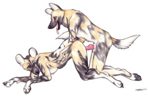 Rating: Explicit Score: 0 Tags: 2006 african_wild_dog all_fours anthro anthro_on_anthro balls breasts canid canine doggystyle duo e621 erection female female_penetrated from_behind_position genitals knot korrok male male/female male_penetrating male_penetrating_female mammal nipples nude penetration penile penile_penetration penis penis_in_vagina raised_tail sex side_boob tail vaginal vaginal_penetration User: bunchy7s Rating: Explicit Score: 0 Tags: 2006 african_wild_dog all_fours anthro anthro_on_anthro balls breasts canid canine doggystyle duo e621 erection female female_penetrated from_behind_position genitals knot korrok male male/female male_penetrating male_penetrating_female mammal nipples nude penetration penile penile_penetration penis penis_in_vagina raised_tail sex side_boob tail vaginal vaginal_penetration User: bunchy7s