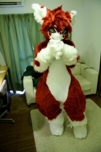 Rating: Safe Score: 0 Tags: anthro belly belly_markings big_eyes biped clothing costume dragon dutch_angle e621 female fur furniture furred_dragon furred_scalie fursuit fuzisawa grandfathered_content hair head_tilt inside interlocked_fingers kemono laki looking_at_viewer markings multicolored_body multicolored_fur mythological_creature mythological_scalie mythology paws photography_(artwork) real red_body red_fur red_hair scalie short_hair short_snout snout sofa solo spiky_hair standing thick_thighs two_tone_body two_tone_fur white_body white_fur User: bunchy7s Rating: Safe Score: 0 Tags: anthro belly belly_markings big_eyes biped clothing costume dragon dutch_angle e621 female fur furniture furred_dragon furred_scalie fursuit fuzisawa grandfathered_content hair head_tilt inside interlocked_fingers kemono laki looking_at_viewer markings multicolored_body multicolored_fur mythological_creature mythological_scalie mythology paws photography_(artwork) real red_body red_fur red_hair scalie short_hair short_snout snout sofa solo spiky_hair standing thick_thighs two_tone_body two_tone_fur white_body white_fur User: bunchy7s