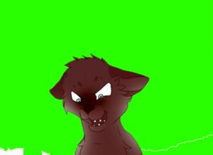Rating: Safe Score: 0 Tags: animated animated_gif domestic_cat e621 felid feline felis green_screen laugh low_res male mammal open_mouth paintdragoness rape_face short_playtime simple_background solo teeth wind User: bunchy7s Rating: Safe Score: 0 Tags: animated animated_gif domestic_cat e621 felid feline felis green_screen laugh low_res male mammal open_mouth paintdragoness rape_face short_playtime simple_background solo teeth wind User: bunchy7s