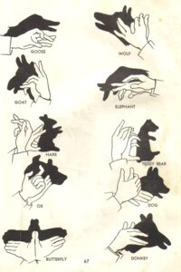 Rating: Safe Score: 0 Tags: ambiguous_gender anatid anseriform anserine arthropod asinus avian bird bovid bovine butterfly canid canine canis caprine disembodied_hand domestic_dog donkey e621 elephant elephantid english_text equid equine goat goose how-to insect lagomorph lepidopteran leporid lol_comments mammal monochrome plushie proboscidean rabbit sepia shadow_puppet simple_background solo teddy_bear text traditional_media_(artwork) unknown_artist white_background wolf User: bunchy7s Rating: Safe Score: 0 Tags: ambiguous_gender anatid anseriform anserine arthropod asinus avian bird bovid bovine butterfly canid canine canis caprine disembodied_hand domestic_dog donkey e621 elephant elephantid english_text equid equine goat goose how-to insect lagomorph lepidopteran leporid lol_comments mammal monochrome plushie proboscidean rabbit sepia shadow_puppet simple_background solo teddy_bear text traditional_media_(artwork) unknown_artist white_background wolf User: bunchy7s