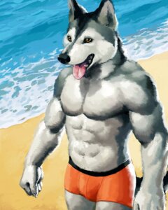 Rating: Safe Score: 0 Tags: 4:5 abs anthro athletic beach biceps big_muscles biped black_nose bottomwear bulge canid canine canis claws clothed clothing domestic_dog e621 fangs fur grey_body grey_fur hi_res high-angle_view husky lag2011 male mammal muscular muscular_anthro muscular_male nordic_sled_dog open_mouth outside pecs pose sand sea seaside shorts solo spitz standing summer swimwear teeth tongue tongue_out topless walking water yellow_eyes User: bunchy7s