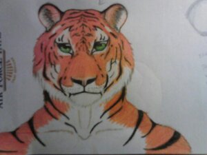 Rating: Questionable Score: 0 Tags: 4:3 anthro black_body black_fur black_stripes e621 felid fur green_eyes male mammal multicolored_body multicolored_fur neos8 orange_body orange_fur pantherine simple_background solo stripes tiger traditional_media_(artwork) white_body white_fur User: bunchy7s