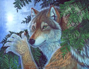 Rating: Safe Score: 0 Tags: 2012 ambiguous_gender anthro canid canine canis distracting_watermark e621 goldenwolf green_eyes looking_at_viewer mammal markings realistic solo watermark whiskers wolf User: bunchy7s Rating: Safe Score: 0 Tags: 2012 ambiguous_gender anthro canid canine canis distracting_watermark e621 goldenwolf green_eyes looking_at_viewer mammal markings realistic solo watermark whiskers wolf User: bunchy7s