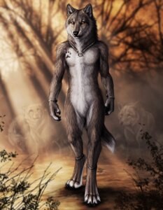 Rating: Safe Score: 0 Tags: 4_toes anklet anthro biped bracelet canid canine canis casual_nudity cedarwolf claws day detailed detailed_fur digital_media_(artwork) digitigrade e621 fantasy feet feral front_view full-length_portrait fur ghost grey_body grey_fur group jewelry light looking_at_viewer male mammal mythological_canine mythological_creature mythology naturally_censored necklace nude outside portrait quadruped solo_focus spirit standing sunlight tail toe_claws toes werecanid werecanine werecreature werewolf wolf wolf-of-samhain yellow_eyes User: bunchy7s