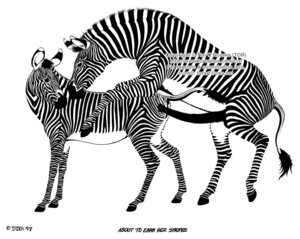 Rating: Explicit Score: 0 Tags: 1997 anatomically_correct animal_genitalia animal_penis big_penis black_and_white duo e621 english_text equid equine equine_genitalia equine_penis erection female feral feral_on_feral genitals hooves huge_penis male male/female mammal monochrome nude penis sex stripes tail text tim_o'rourke vulva zebra User: bunchy7s Rating: Explicit Score: 0 Tags: 1997 anatomically_correct animal_genitalia animal_penis big_penis black_and_white duo e621 english_text equid equine equine_genitalia equine_penis erection female feral feral_on_feral genitals hooves huge_penis male male/female mammal monochrome nude penis sex stripes tail text tim_o'rourke vulva zebra User: bunchy7s