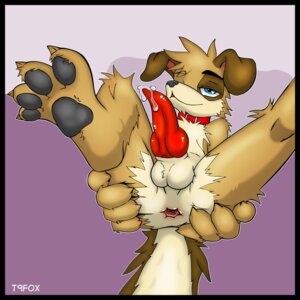 Rating: Explicit Score: 0 Tags: 1:1 animal_genitalia animal_penis anthro anus backsack balls blue_eyes bodily_fluids butt canid canine canine_genitalia canine_penis canis domestic_dog e621 erection gaping gaping_anus genital_fluids genitals hi_res housepets! knot looking_at_viewer male mammal pawpads paws peanut_butter_(housepets!) penis precum presenting presenting_hindquarters sheath solo spread_anus spread_legs spreading t9fox tail wacki User: bunchy7s