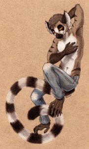 Rating: Safe Score: 0 Tags: 2011 5_fingers 5_toes anthro barefoot bottomwear brown_body brown_fur brown_hair claws closed_smile clothed clothed_anthro clothed_male clothing denim denim_bottomwear denim_clothing e621 feet fingers fluffy fluffy_tail full-length_portrait fur hair half-closed_eyes hand_behind_head hi_res inviting jeans lemur long_tail looking_at_viewer male male_anthro mammal markings mouth_closed narrowed_eyes navel orange_eyes orange_sclera pants portrait prehensile_feet primate riftryu ring-tailed_lemur ring_(marking) ringed_tail short_hair smile solo strepsirrhine striped_markings striped_tail stripes tail tail_between_legs tail_markings toe_claws toes topless topless_anthro topless_male User: bunchy7s