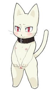 Rating: Explicit Score: 0 Tags: 3_fingers 3_toes anthro big_clitoris blush breasts clitoris collar domestic_cat e621 feet felid feline felis female fingers flat_chested fur genitals kemono kemonon mammal navel nipples nude pose raised_tail red_eyes retracted_clitoral_hood semi-anthro simple_background slightly_chubby smile solo spread_vulva spreading tail toes vulva white_background white_body white_fur User: bunchy7s
