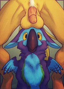 Rating: Explicit Score: 0 Tags: 2011 ambiguous_gender avian balls balls_on_head beak blue_body blue_feathers circumcised duo e621 feathered_wings feathers feral flaccid genitals green_body green_feathers gryphon humanoid_genitalia humanoid_penis male merygryph merystic mythological_avian mythological_creature mythology penis pubes purple_body purple_feathers smile tea_bagging white_pubes wings yellow_eyes User: bunchy7s Rating: Explicit Score: 0 Tags: 2011 ambiguous_gender avian balls balls_on_head beak blue_body blue_feathers circumcised duo e621 feathered_wings feathers feral flaccid genitals green_body green_feathers gryphon humanoid_genitalia humanoid_penis male merygryph merystic mythological_avian mythological_creature mythology penis pubes purple_body purple_feathers smile tea_bagging white_pubes wings yellow_eyes User: bunchy7s