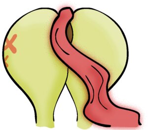 Rating: Explicit Score: 0 Tags: 2012 butt butt_shot cutie_mark e621 equid equine female feral fluttershy_(mlp) friendship_is_magic fur genitals hasbro horse mammal my_little_pony pony rear_view simple_background solo tail unknown_artist vulva white_background yellow_body yellow_fur User: bunchy7s Rating: Explicit Score: 0 Tags: 2012 butt butt_shot cutie_mark e621 equid equine female feral fluttershy_(mlp) friendship_is_magic fur genitals hasbro horse mammal my_little_pony pony rear_view simple_background solo tail unknown_artist vulva white_background yellow_body yellow_fur User: bunchy7s