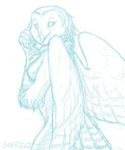 Rating: Questionable Score: 0 Tags: anthro avian barn_owl beak bird breasts claws conditional_dnp digital_drawing_(artwork) digital_media_(artwork) e621 feathered_wings feathers female half-length_portrait monochrome nipples non-mammal_breasts non-mammal_nipples owl portrait sefeiren side_boob simple_background sketch smile solo tyto tytonid white_background wings User: bunchy7s