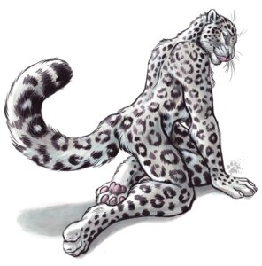 Rating: Safe Score: 0 Tags: 2011 4_toes anthro blotch butt claws digitigrade e621 feet felid fluffy fluffy_tail fur hi_res hindpaw leopard_spots looking_at_viewer looking_back looking_back_at_viewer male mammal muscular muscular_anthro muscular_male nude pantherine pawpads paws pink_nose pink_pawpads scratches_volume_5 seductive simple_background snow_leopard soles solo spots tail toes tongue tongue_out traditional_media_(artwork) whiskers white_background User: bunchy7s