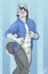 Rating: Explicit Score: 0 Tags: 2012 abs animal_genitalia anthro balls biceps biped blue_eyes bottomless canid canine canis claws clothed clothing domestic_dog e621 flaccid fully_sheathed fur genitals grey_body grey_fur husky illbarks male mammal muscular muscular_anthro muscular_male nordic_sled_dog open_clothing open_shirt open_topwear pecs penis pose sheath shirt solo spitz standing tail topwear white_body white_fur User: bunchy7s