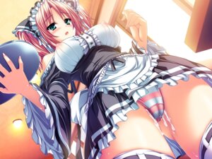 Rating: Explicit Score: 0 Tags: after_sex akaza blush cum cum_in_clothes cum_in_panties cum_in_pussy cum_wearing cum_wearing_(panties) cumdrip erect_nipples female game_cg henshin_3 nipples panties pink_hair pussy rule34 shimapan striped striped_panties underwear upskirt waitress User: bunchy7s Rating: Explicit Score: 0 Tags: after_sex akaza blush cum cum_in_clothes cum_in_panties cum_in_pussy cum_wearing cum_wearing_(panties) cumdrip erect_nipples female game_cg henshin_3 nipples panties pink_hair pussy rule34 shimapan striped striped_panties underwear upskirt waitress User: bunchy7s