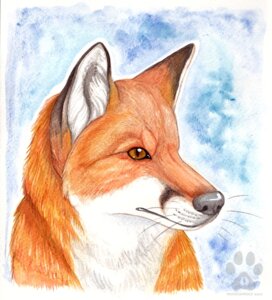 Rating: Safe Score: 0 Tags: 2010 ambiguous_gender black_nose canid canine colored_pencil_(artwork) e621 feral fox fur headshot_portrait icon mammal noktivus orange_body orange_eyes orange_fur portrait red_fox simple_background solo textured_background traditional_media_(artwork) true_fox watermark whiskers User: bunchy7s Rating: Safe Score: 0 Tags: 2010 ambiguous_gender black_nose canid canine colored_pencil_(artwork) e621 feral fox fur headshot_portrait icon mammal noktivus orange_body orange_eyes orange_fur portrait red_fox simple_background solo textured_background traditional_media_(artwork) true_fox watermark whiskers User: bunchy7s