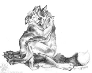 Rating: Safe Score: 0 Tags: 2007 anthro blotch canid canine canis claws cuddling domestic_dog duo e621 feet fluffy fluffy_tail fox hindpaw hug licking love male male/male mammal monochrome nude pawpads paws red_fox romantic romantic_couple scratches_volume_1 simple_background tail toe_claws tongue tongue_out traditional_media_(artwork) true_fox white_background User: bunchy7s