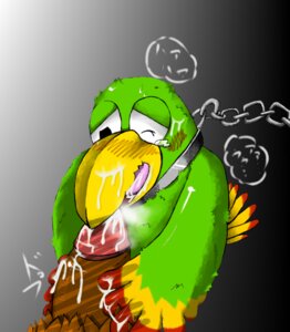 Rating: Explicit Score: 0 Tags: bird cum donkey_kong donkey_kong_(series) interspecies kong male male_only multiple_males nintendo nude penis rule34 size_difference solo_focus squawks tagme wink yaoi User: bunchy7s Rating: Explicit Score: 0 Tags: bird cum donkey_kong donkey_kong_(series) interspecies kong male male_only multiple_males nintendo nude penis rule34 size_difference solo_focus squawks tagme wink yaoi User: bunchy7s