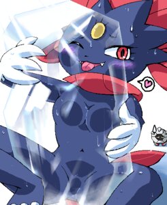 Rating: Questionable Score: 0 Tags: anthro anthro_focus biped blue_body blue_breasts blue_skin blush breast_squish breasts dark_body dark_breasts dark_skin digital_media_(artwork) duo e621 fangs featureless_breasts featureless_crotch female female_anthro female_focus feral g-sun generation_3_pokemon generation_4_pokemon heart_symbol holding_object ice iris looking_at_viewer lying medium_breasts monotone_breasts navel nintendo nude oekaki on_back one_eye_closed open_mouth pink_heart pink_tongue pokemon pokemon_(species) pokemorph portrait pseudo_clothing pupils purple_blush red_eyes shelgon simple_background solo_focus squish standing teeth three-quarter_portrait tongue tongue_out weavile white_background white_body yellow_eyes User: bunchy7s
