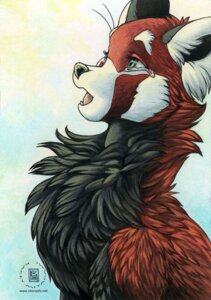 Rating: Safe Score: 0 Tags: 2009 ailurid belly black_belly black_body black_fur black_nose blue_background bodily_fluids countershading e621 female feral fur gradient_background green_eyes kacey mammal multicolored_body multicolored_fur open_mouth red_body red_fur red_panda reverse_countershading simple_background solo tears white_background white_body white_fur User: bunchy7s