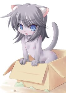 Rating: Questionable Score: 0 Tags: adoption_box anthro blue_eyes blush box box_of_cuteness breasts container domestic_cat e621 fangs felid feline felis female grey_hair hair if_it_fits_i_sits_(meme) in_box in_container kourourin looking_at_viewer mammal meme nipples nude open_mouth solo tail teeth young young_anthro young_female User: bunchy7s Rating: Questionable Score: 0 Tags: adoption_box anthro blue_eyes blush box box_of_cuteness breasts container domestic_cat e621 fangs felid feline felis female grey_hair hair if_it_fits_i_sits_(meme) in_box in_container kourourin looking_at_viewer mammal meme nipples nude open_mouth solo tail teeth young young_anthro young_female User: bunchy7s