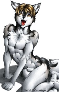 Rating: Explicit Score: 0 Tags: animal_genitalia anthro canid canine canis e621 fully_sheathed genitals hi_res karabiner male mammal nude sheath solo tail wolf User: bunchy7s