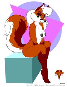Rating: Explicit Score: 0 Tags: 2003 anthro biped bonnie_(joseph_ny) breasts canid canine e621 english_text female fox hair joseph_ny mammal nipples nude open_mouth sitting solo tail text white_hair User: bunchy7s