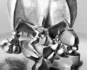 Rating: Safe Score: 0 Tags: claws dragon e621 felixspeagel female feral fin frill_(anatomy) greyscale long_neck looking_at_viewer membrane_(anatomy) membranous_frill membranous_wings monochrome mythological_creature mythological_scalie mythology outside realistic rock scalie solo spread_wings wings User: bunchy7s