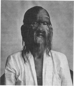 Rating: Safe Score: 0 Tags: ambiguous_gender congenital_hypertrichosis_lanuginosa e621 grandfathered_content greyscale hairy half-length_portrait human looking_at_viewer mammal monochrome portrait real solo unknown_artist what User: bunchy7s