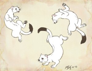 Rating: Safe Score: 0 Tags: 2010 ambiguous_gender conditional_dnp dancing e621 feral group mammal moodyferret mustelid musteline playing quadruped stoat tail true_musteline weasel weasel_war_dance User: bunchy7s