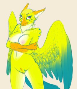 Rating: Explicit Score: 0 Tags: anthro avian beak breasts crossed_arms female gryphon mythological_avian mythological_creature mythology nude pussy rule34 sheepdust solo standing wings User: bunchy7s