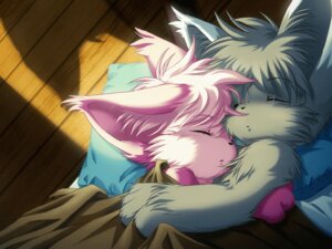 Rating: Safe Score: 0 Tags: 2007 4:3 4_fingers anthro background_character bed bed_covers bed_sheet bedding biped blue_pillow brown_bed_sheet brown_bedding cuddling daww detailed_background digital_drawing_(artwork) digital_media_(artwork) dipstick_ears domestic_cat duo ear_markings ear_tuft eyebrow_through_hair eyebrows eyelashes eyes_closed eyewear eyewear_on_head faceless_character felid feline felis female fingers floor floorboards funny_post_number fur furniture glass glasses glasses_on_head glistening glistening_body glistening_fur glistening_hair grabbing_sheets grey_body grey_fur grey_hair grey_inner_ear grey_inner_ear_fluff hair holding_another holding_bed_covers hug hugging_another ikuta_takanon inner_ear_fluff inside kemono lying male male/female mammal markings multicolored_body multicolored_ears multicolored_fur nap_zack nude official_art offscreen_character on_another on_another's_belly on_back on_front pillow pink_body pink_fur pink_hair pink_inner_ear pink_inner_ear_fluff romantic romantic_couple run_turn shadow shadow_silhouette silhouette sleeping tail_tale translucent translucent_hair tuft unnamed_character wearing_glasses white_body white_ear_tips white_ears white_eyewear white_fur white_fur_tuft white_glasses wood wood_floor yaminabe_aries User: bunchy7s