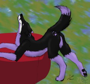 Rating: Questionable Score: 0 Tags: ambiguous_gender black_body black_fur butt canid canine e621 feral feyyore fox fur gade inviting ladyelisa looking_at_viewer looking_back mammal nonbinary_(lore) nude pawpads paws presenting presenting_hindquarters purple_body purple_fur raised_tail solo tail User: bunchy7s