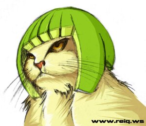 Rating: Safe Score: 0 Tags: ambiguous_gender armor domestic_cat e621 felid feline felis feral food fruit headgear helmet imposing lemon lime limecat mammal meme plant reiq serious_face solo whiskers User: bunchy7s
