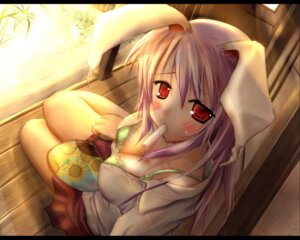 Rating: Explicit Score: 0 Tags: female reisen_udongein_inaba rule34 tagme touhou User: bunchy7s