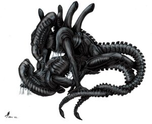 Rating: Explicit Score: 0 Tags: 1girls 2004 2d alien_(franchise) female female_xenomorph male male_xenomorph no_humans rule34 tagme tail xenomorph xenomorph_tail User: bunchy7s Rating: Explicit Score: 0 Tags: 1girls 2004 2d alien_(franchise) female female_xenomorph male male_xenomorph no_humans rule34 tagme tail xenomorph xenomorph_tail User: bunchy7s