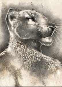 Rating: Safe Score: 0 Tags: 2010 anthro bubblewolf e621 felid female graphite_(artwork) greyscale lion looking_back mammal monochrome pantherine sketch solo traditional_media_(artwork) User: bunchy7s Rating: Safe Score: 0 Tags: 2010 anthro bubblewolf e621 felid female graphite_(artwork) greyscale lion looking_back mammal monochrome pantherine sketch solo traditional_media_(artwork) User: bunchy7s
