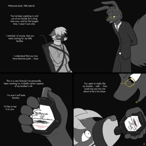 Rating: Questionable Score: 0 Tags: 1:1 absurd_res anthro bdsm black_immelmann bondage bound brainwashing canid canine canis clothed clothing comic duo e621 ear_piercing english_text eyewear fully_clothed glasses hi_res hybrid immelmann_(character) lagomorph male mammal monochrome muzzle_(object) muzzled nx-42 piercing procyonid raccoon restraints straitjacket suit text wolf User: bunchy7s