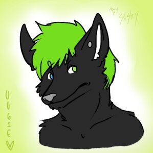 Rating: Safe Score: 0 Tags: 2010 anthro biped black_body black_fur blue_eyes bust_portrait canid canine charlie_weems_(character) clothed clothing e621 ears_up fox fur gradient_background green_background green_eyes green_hair grey_nose grimace hair heterochromia looking_back male mammal oogie portrait simple_background solo stud_ear_ring topless User: bunchy7s