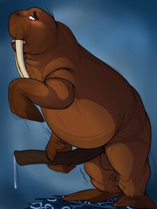 Rating: Explicit Score: 0 Tags: 3:4 aquatic balls blush bodily_fluids brown_body brown_penis brown_skin clothing cum cum_drip dripping e621 erection feral genital_fluids genitals hi_res long_penis looking_down male mammal masturbation nude open_mouth penile penile_masturbation penis pinniped slightly_chubby solo tongue torn_clothing transformation tusks walrus werewolfaboo User: bunchy7s Rating: Explicit Score: 0 Tags: 3:4 aquatic balls blush bodily_fluids brown_body brown_penis brown_skin clothing cum cum_drip dripping e621 erection feral genital_fluids genitals hi_res long_penis looking_down male mammal masturbation nude open_mouth penile penile_masturbation penis pinniped slightly_chubby solo tongue torn_clothing transformation tusks walrus werewolfaboo User: bunchy7s