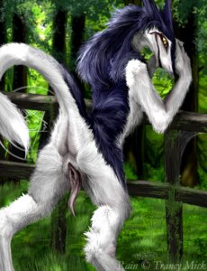 Rating: Explicit Score: 0 Tags: 2007 against_fence against_surface anthro anus butt chimera_synx clitoral_hood clitoris digitigrade e621 female fence genitals leaning looking_at_viewer mammal outside prehensile_clitoral_hood presenting presenting_hindquarters rain_silves raised_tail rear_view sergal solo spread_legs spreading tail tail_anus vulva User: bunchy7s Rating: Explicit Score: 0 Tags: 2007 against_fence against_surface anthro anus butt chimera_synx clitoral_hood clitoris digitigrade e621 female fence genitals leaning looking_at_viewer mammal outside prehensile_clitoral_hood presenting presenting_hindquarters rain_silves raised_tail rear_view sergal solo spread_legs spreading tail tail_anus vulva User: bunchy7s