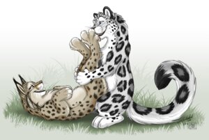 Rating: Questionable Score: 0 Tags: 2010 4_toes ambiguous_gender anthro conditional_dnp duo e621 feet felid feline foot_fetish foot_lick foot_play hindpaw leopard leopard_spots licking lynx mammal pantherine paws signature simple_background snow_leopard spots tail tani_da_real toes tongue tongue_out white_background User: bunchy7s Rating: Questionable Score: 0 Tags: 2010 4_toes ambiguous_gender anthro conditional_dnp duo e621 feet felid feline foot_fetish foot_lick foot_play hindpaw leopard leopard_spots licking lynx mammal pantherine paws signature simple_background snow_leopard spots tail tani_da_real toes tongue tongue_out white_background User: bunchy7s
