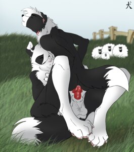 Rating: Explicit Score: 0 Tags: anal anal_penetration anthro balls being_watched bodily_fluids bovid canid canine canis caprine cum cum_in_ass cum_inside day depth_of_field domestic_dog domestic_sheep dripping duo_focus e621 erection eyes_closed feral fur genital_fluids genitals grass group herding_dog knot looking_at_another male male/male male_penetrated male_penetrating male_penetrating_male mammal nude outside pastoral_dog penetration penis plant sex sheep shocked sky straydog tail vein User: bunchy7s